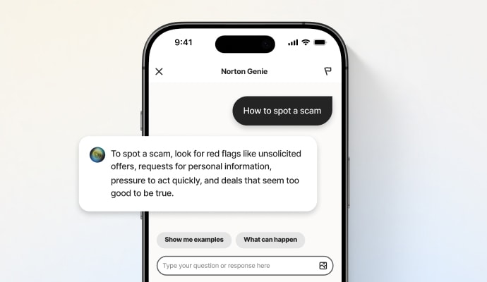 Assistant IA Norton Genie - Capture d'écran du produit Norton Genie